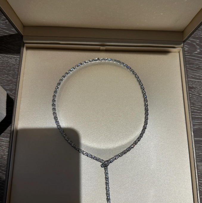 [Auream]NEW！SERPENT DIAMOND NECKLACE